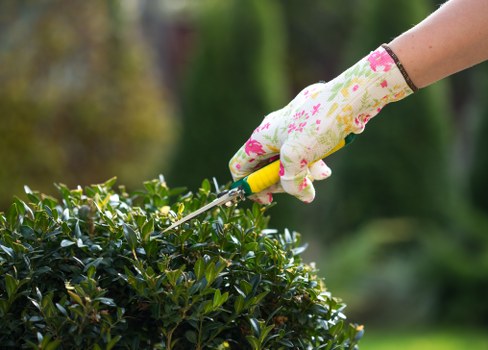 Garden clearance and landscaping pricing in a Pinner residential property