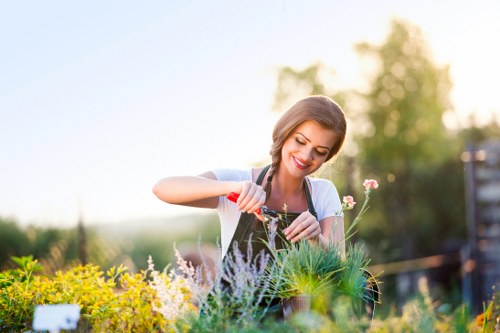 Garden makeover planning for a Pinner home with new planting and patio ideas