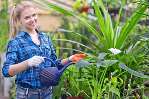 Accessible landscaping in Pinner website content on a screen with supportive design