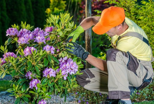 Accepted payment options for Landscaping Pinner including cards and PayPal