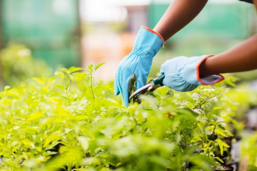 Supplier review and compliance checks for landscaping services