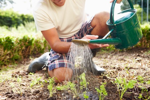 Seasonal planting and layered landscaping in a Pinner garden