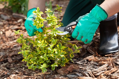 Marketing cookies and browsing relevance for landscaping services
