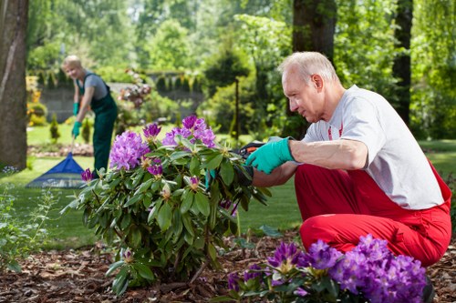 Low-carbon van used for sustainable landscaping work in Pinner