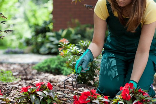 Improved front garden in Pinner with neat borders and low-maintenance features