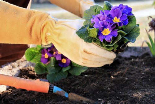 Free quote policy and landscaping price structure for Pinner
