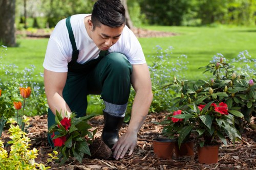 Thoughtful outdoor layout and planting in Pinner landscape gardening
