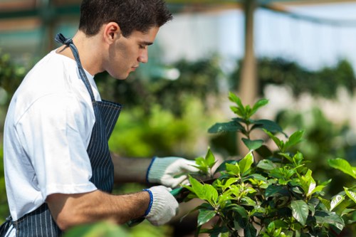 Updated cookie policy information for Landscaping Pinner