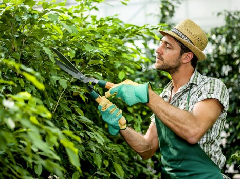Customer booking confirmation and site details for landscaping services