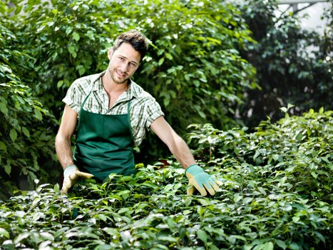 Emergency readiness and safety supervision on a landscaping site