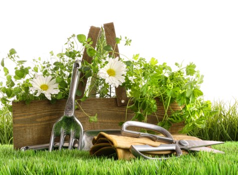 Landscaping waste and materials management during garden works
