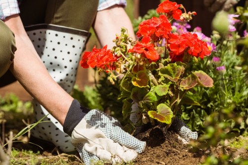 Sustainable landscaping waste separation and recycling in Pinner