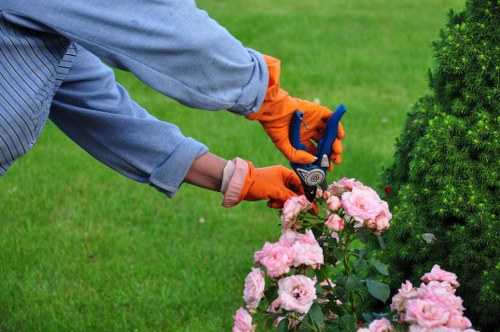 Annual policy review for ethical landscaping operations