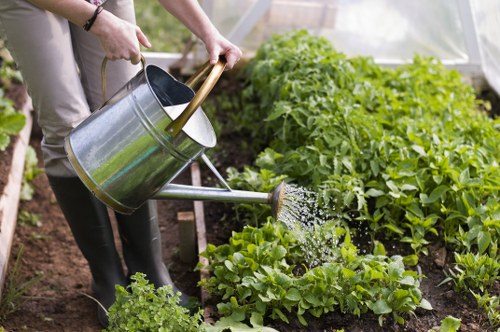 Team assessing garden conditions before starting work
