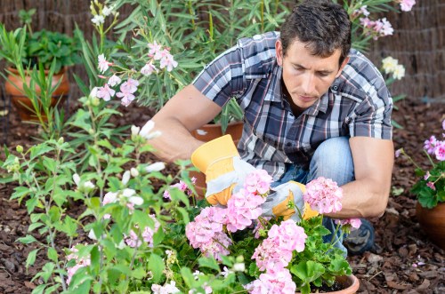 Transparent landscaping pricing for a Pinner property with access considerations